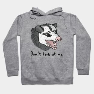 Don't Look at Me Hoodie